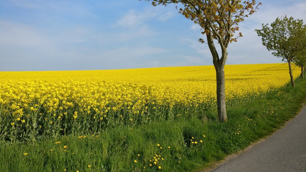 Ferien An Der Ostsee Thomsdorf  Εξωτερικό φωτογραφία